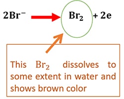 Brown Ring Test disturbance due to bromide ions Br-